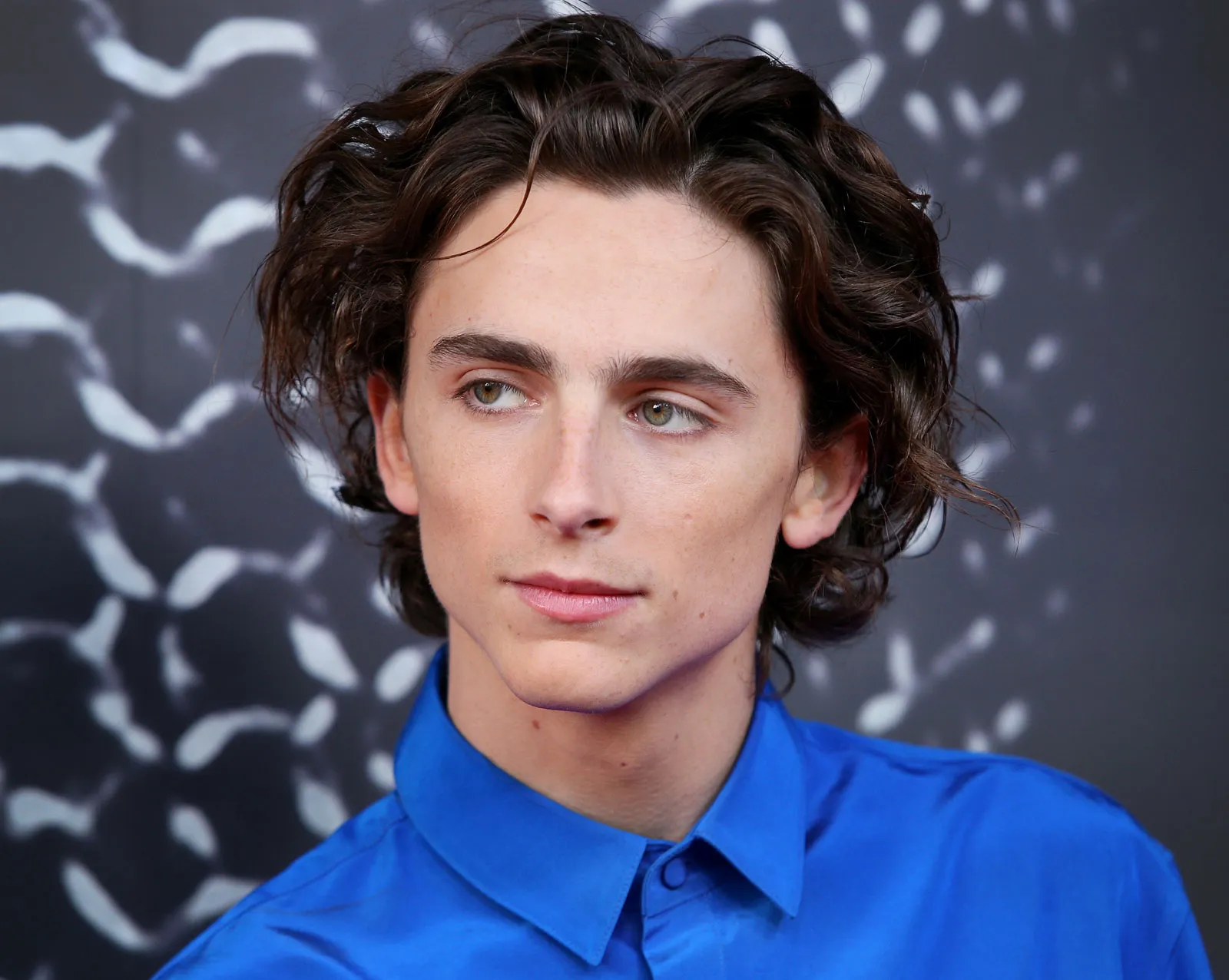 Timothée Chalamet