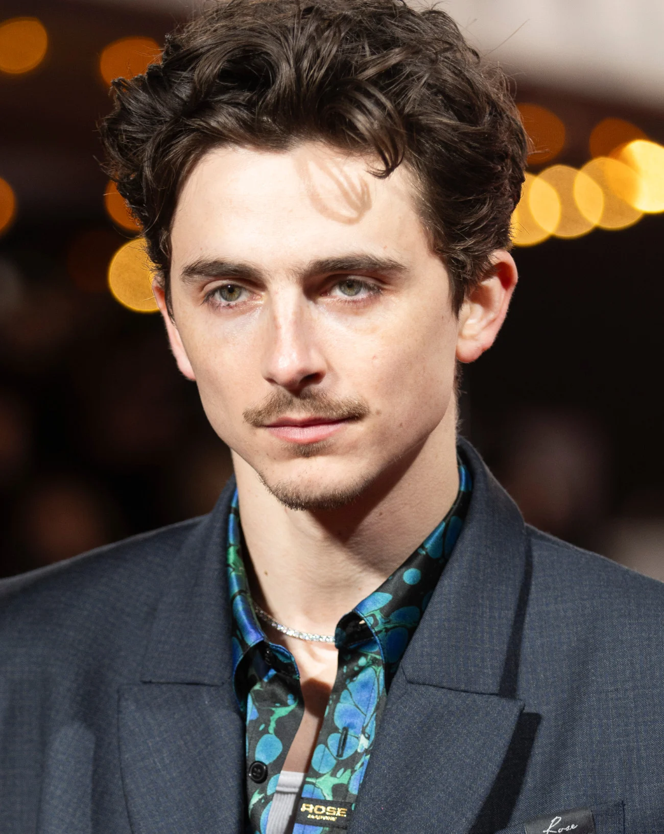 Timothée Chalamet
